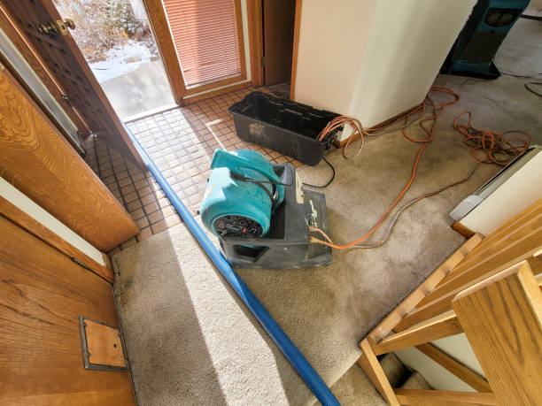 Best Sewage cleanup and water damage restoration  in Espy, PA