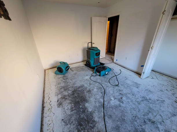 Best Water damage restoration near me  in Espy, PA