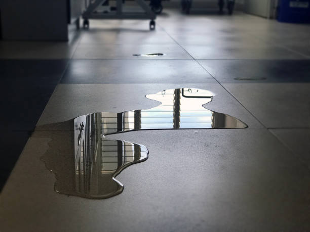 Best 24-hour water damage restoration  in Espy, PA