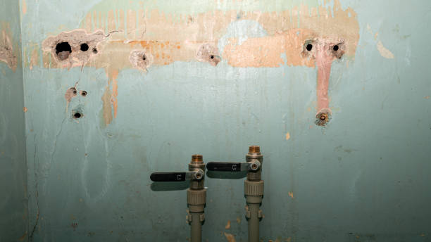 Best Water damage contractors near me  in Espy, PA