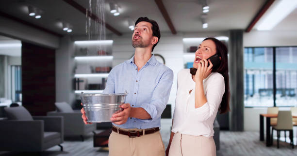 Best Basement water damage restoration  in Espy, PA