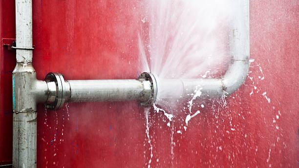 Best Carpet water damage restoration  in Espy, PA